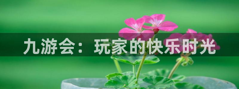 摩登7vip麻将胡了：九游会：玩家的快乐时光
