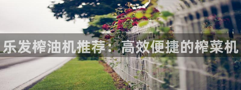 摩登73平台注册：乐发榨油机推荐：高效便捷的榨菜机