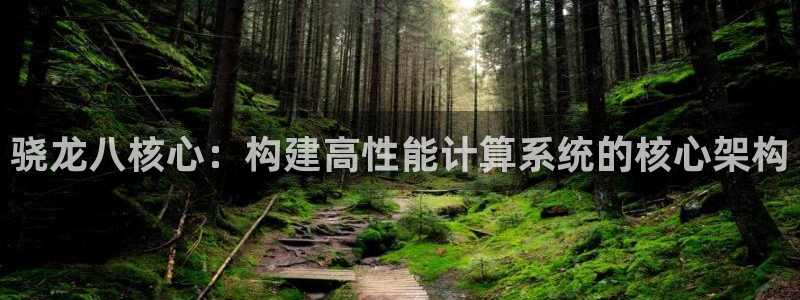 摩登73官网：骁龙八核心：构建高性能计算系统的核心架构