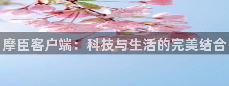 摩登7在线预测：摩臣客户端：科技与生活的完美结合