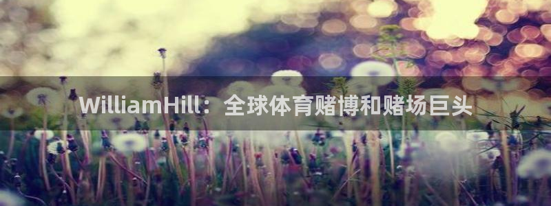 摩登7预测pc在线预测网址：WilliamHill：全球体育赌博和赌场巨头