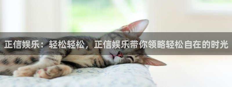 摩登7.ccmpc登录：正信娱乐：轻松轻松，正信娱乐带你领略轻松自在的时光