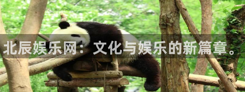 摩登7下载入口：北辰娱乐网：文化与娱乐的新篇章。