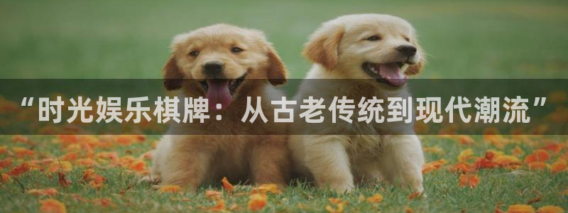 摩登7集团：“时光娱乐棋牌：从古老传统到现代潮流”