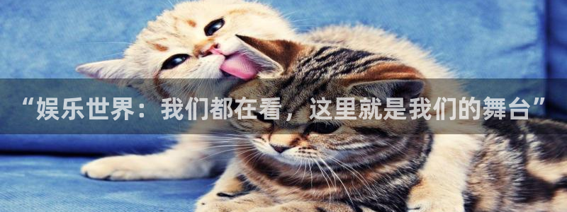 摩登7在线预测：“娱乐世界：我们都在看，这里就是我们的舞台”