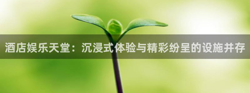 摩登7平台在线注册：酒店娱乐天堂：沉浸式体验与精彩纷呈的设施并存