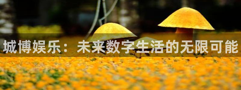 摩登7app 是什么：城博娱乐：未来数字生活的无限可能