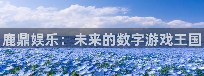 摩登7体育官网注册：鹿鼎娱乐：未来的数字游戏王国