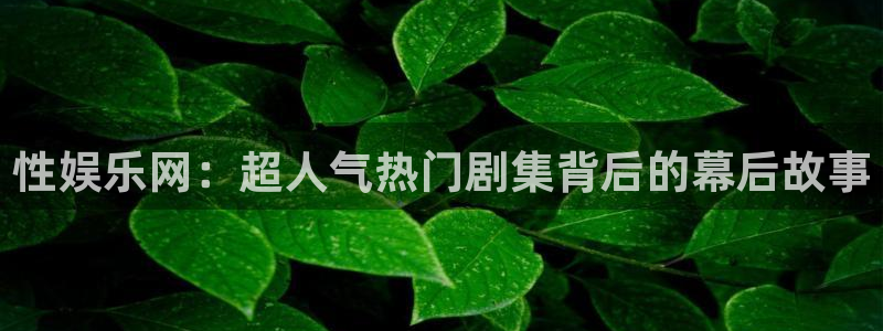 摩登75注册：性娱乐网：超人气热门剧集背后的幕后故事