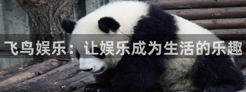 摩登72官网：飞鸟娱乐：让娱乐成为生活的乐趣
