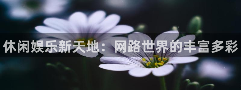 www.摩登7体育.com：休闲娱乐新天地：网路世界的丰富多彩