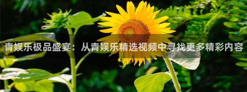 摩登7放水时间：青娱乐极品盛宴：从青娱乐精选视频中寻找更多精彩内容