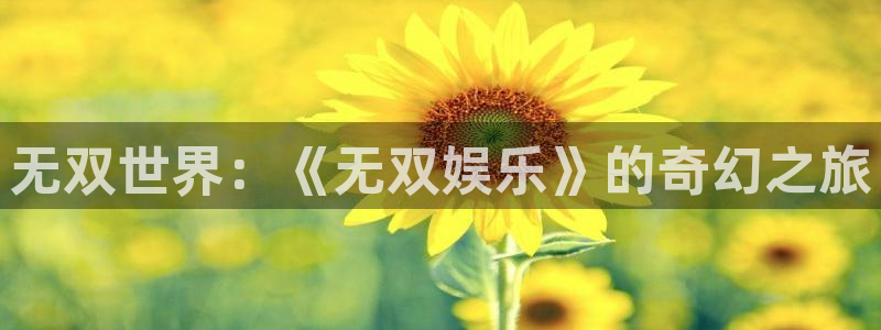 摩登7pg：无双世界：《无双娱乐》的奇幻之旅