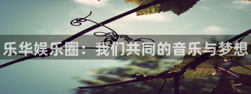 摩登72登录：乐华娱乐圈：我们共同的音乐与梦想