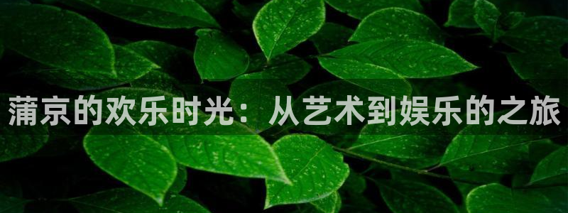 摩登7体育2官网入口：蒲京的欢乐时光：从艺术到娱乐的之旅