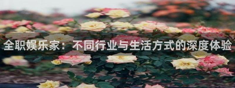摩登7是大平台吗：全职娱乐家：不同行业与生活方式的深度体验