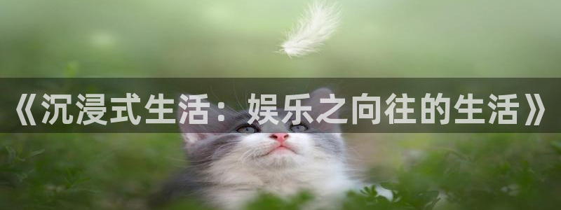 摩登7vk：《沉浸式生活：娱乐之向往的生活》