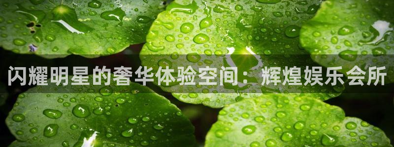摩登7体育2：闪耀明星的奢华体验空间：辉煌娱乐会所