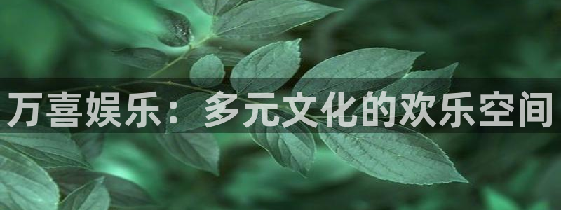 摩登7平台注册：万喜娱乐：多元文化的欢乐空间