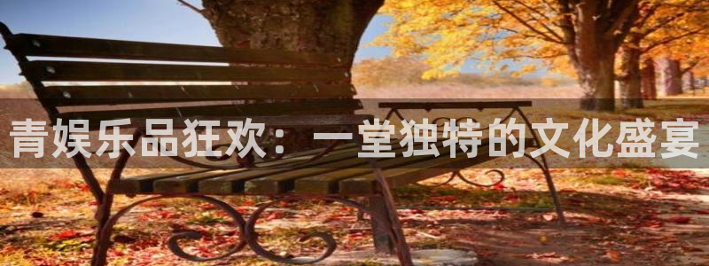 摩登7凯捷开号链接：青娱乐品狂欢：一堂独特的文化盛宴