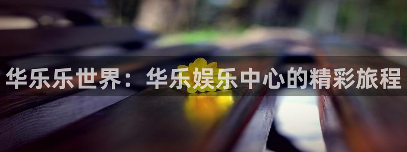 摩登7app 是什么