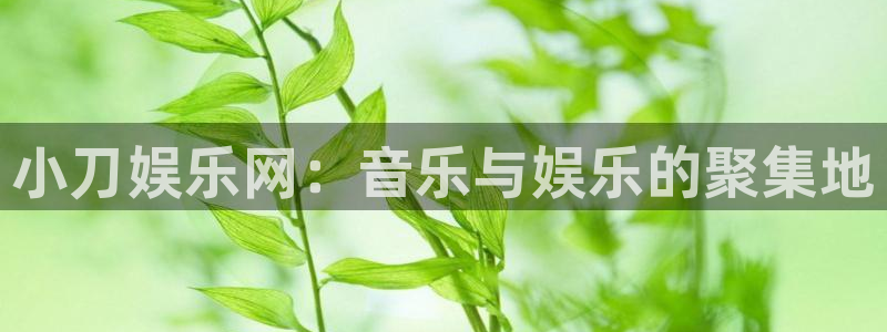 摩登7ccmpc麻将胡了