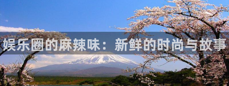 摩登7体育热门赛事有哪些