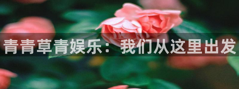 摩登7体育平台开号链接